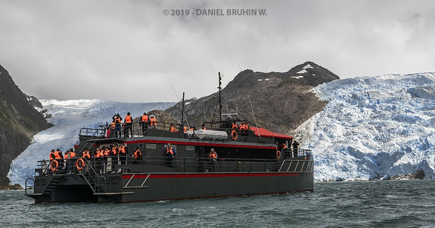 Whales, Penguins and Glaciers Tour - imagen #6