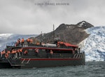Whales, Penguins and Glaciers Tour