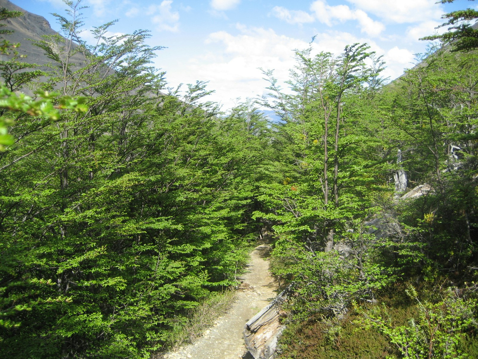 Trekking to Torres del Paine Base - imagen #14