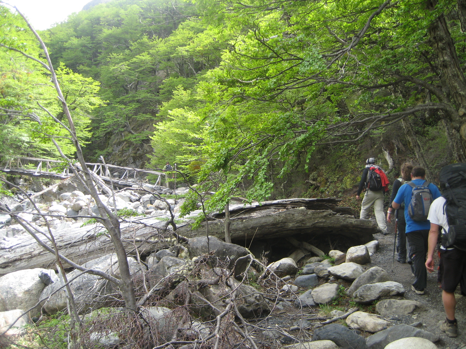 Trekking to Torres del Paine Base