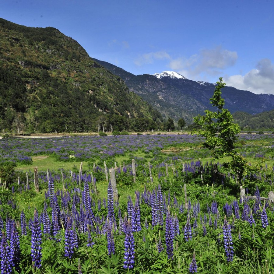 Tour San Rafael Glacier, Hotsprings and Park Aikén del Sur