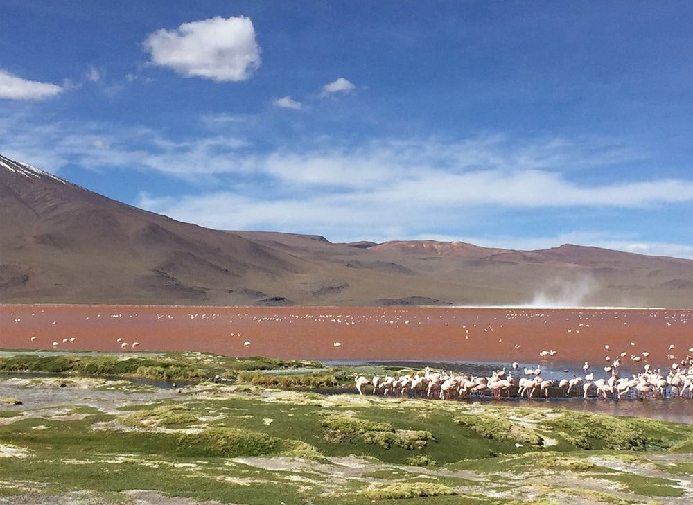 Uyuni Salt Flat from San Pedro de Atacama 4D/3N Semi-Private - imagen #10