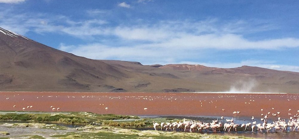 Salar de Uyuni desde San Pedro de Atacama 4D/3N Semi-Privado