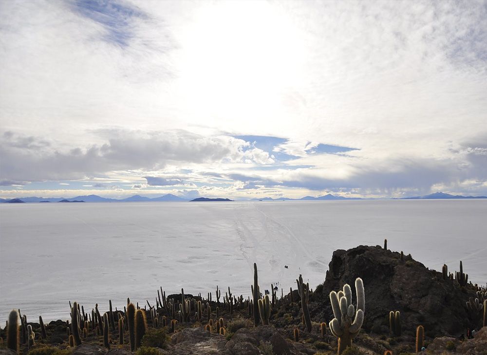 Travel to Uyuni Salt Flat 4D/3N Private