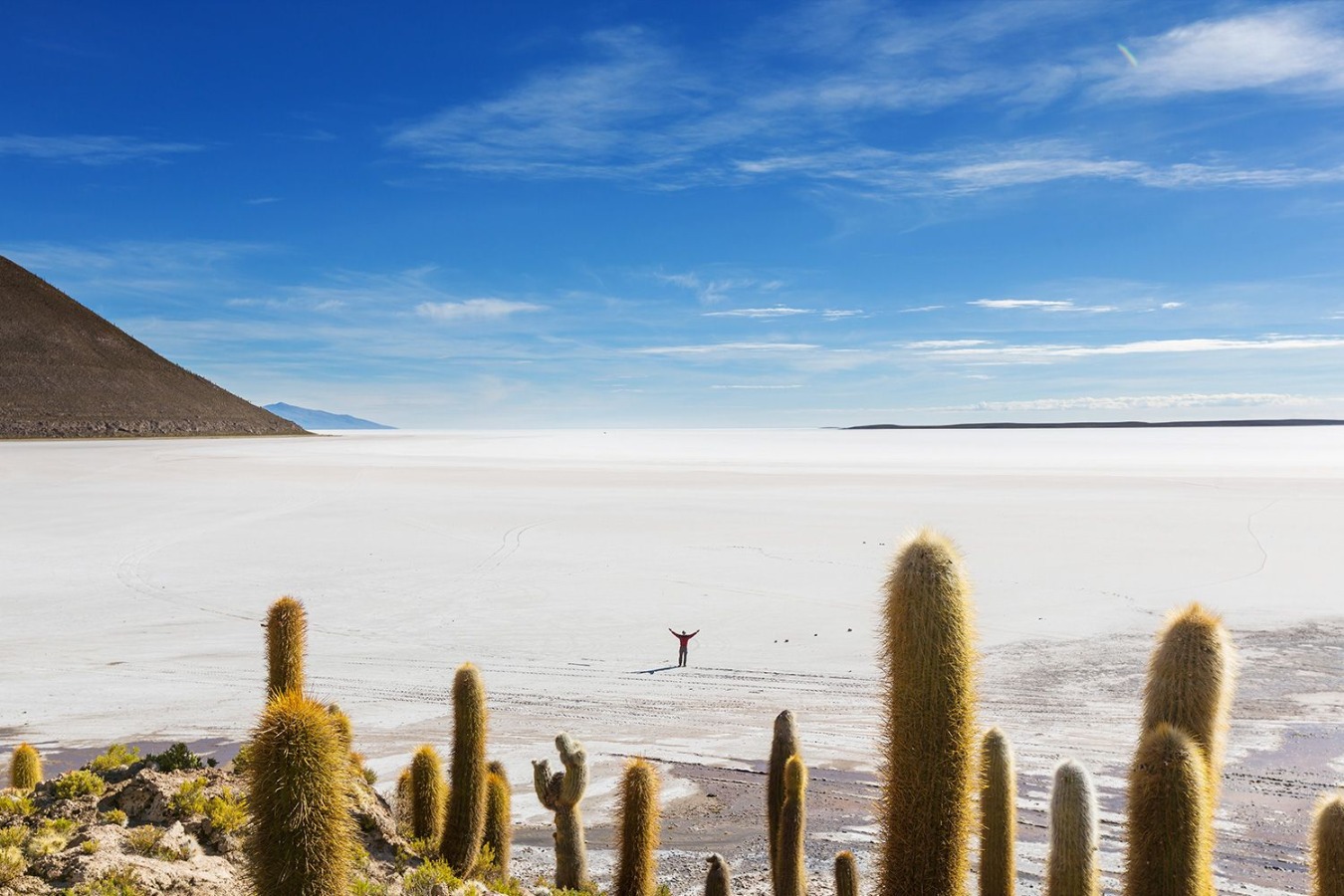 Travel to Uyuni Salt Flat 4D/3N Private