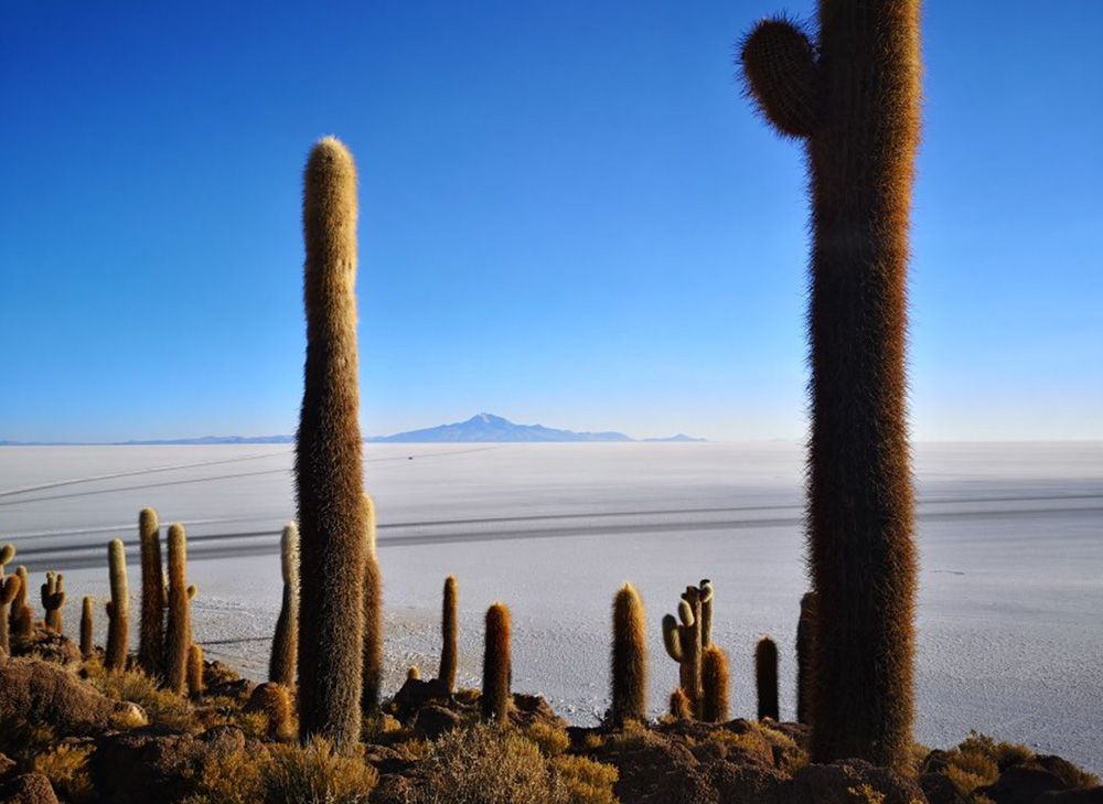 Tour corto al Salar de Uyuni 3 días / 2 noches Semi-Privado