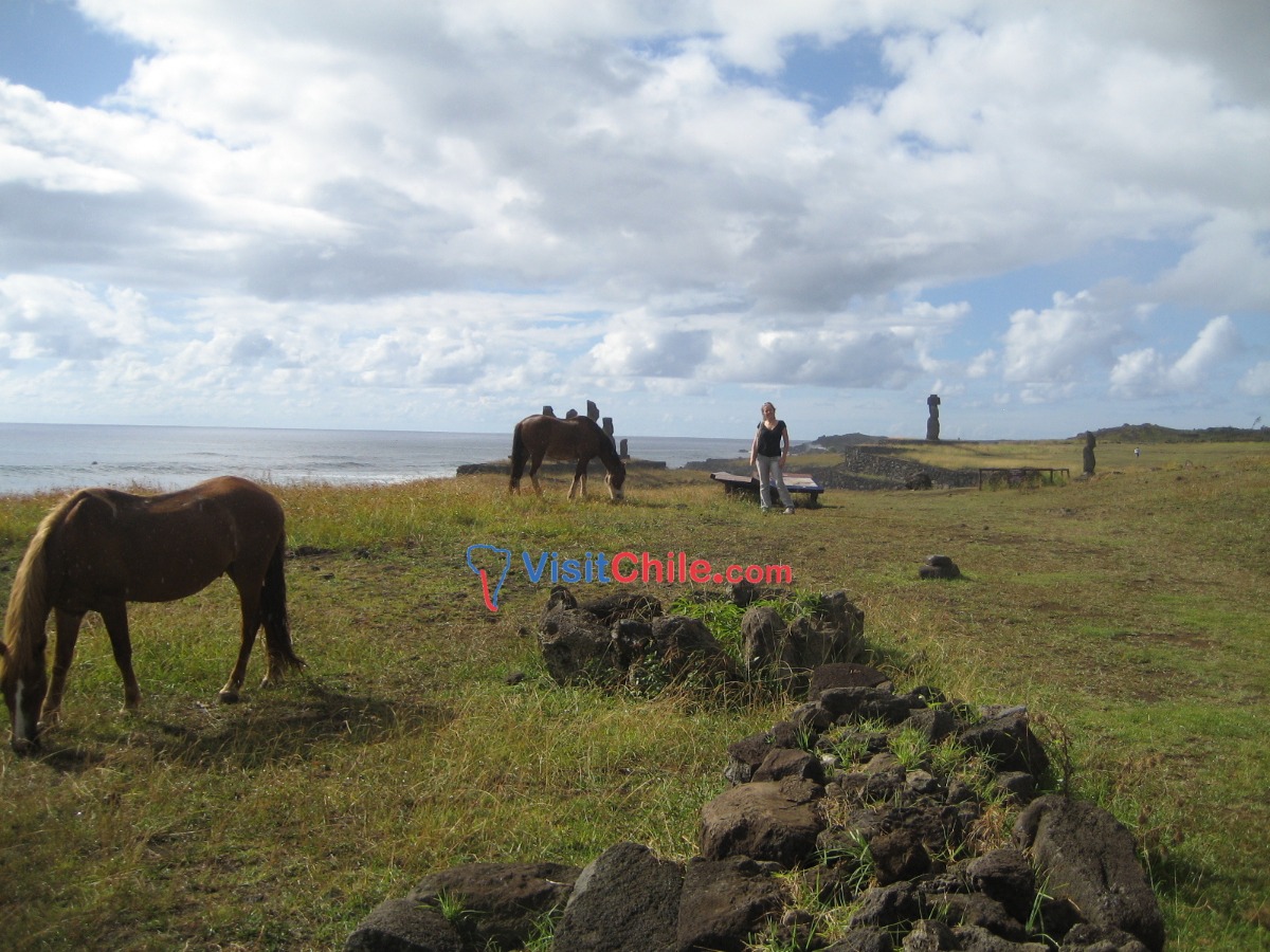 Tour Lo Mejor de Isla de Pascua