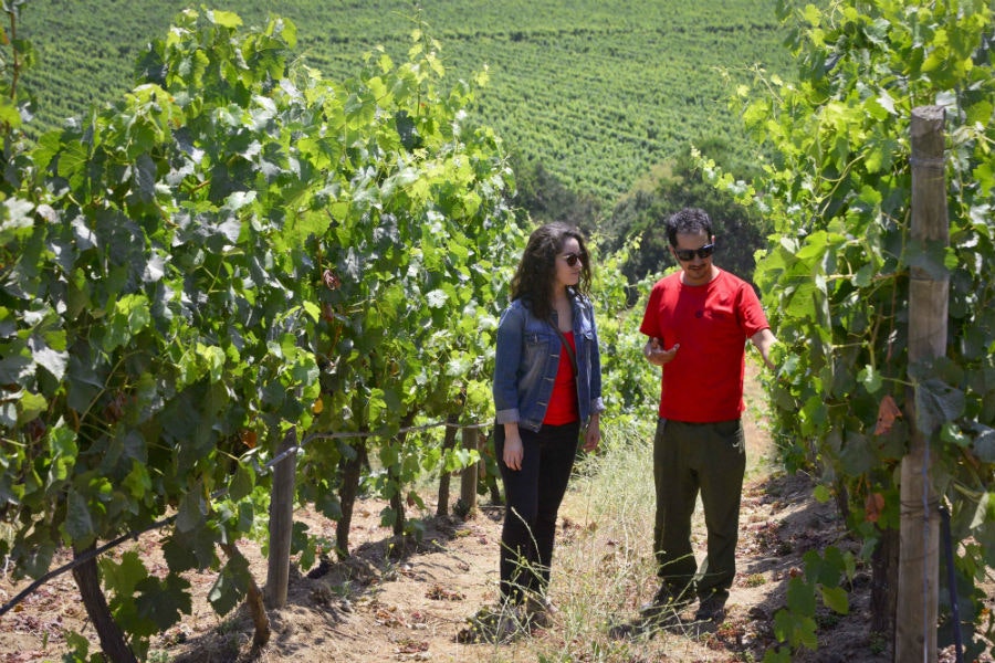 Casablanca Valley All Inclusive - imagen #9