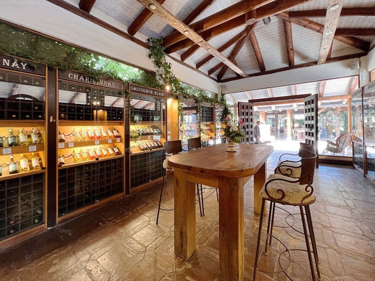 Ruta del Vino Colchagua 2 días / 1 noche - imagen #5