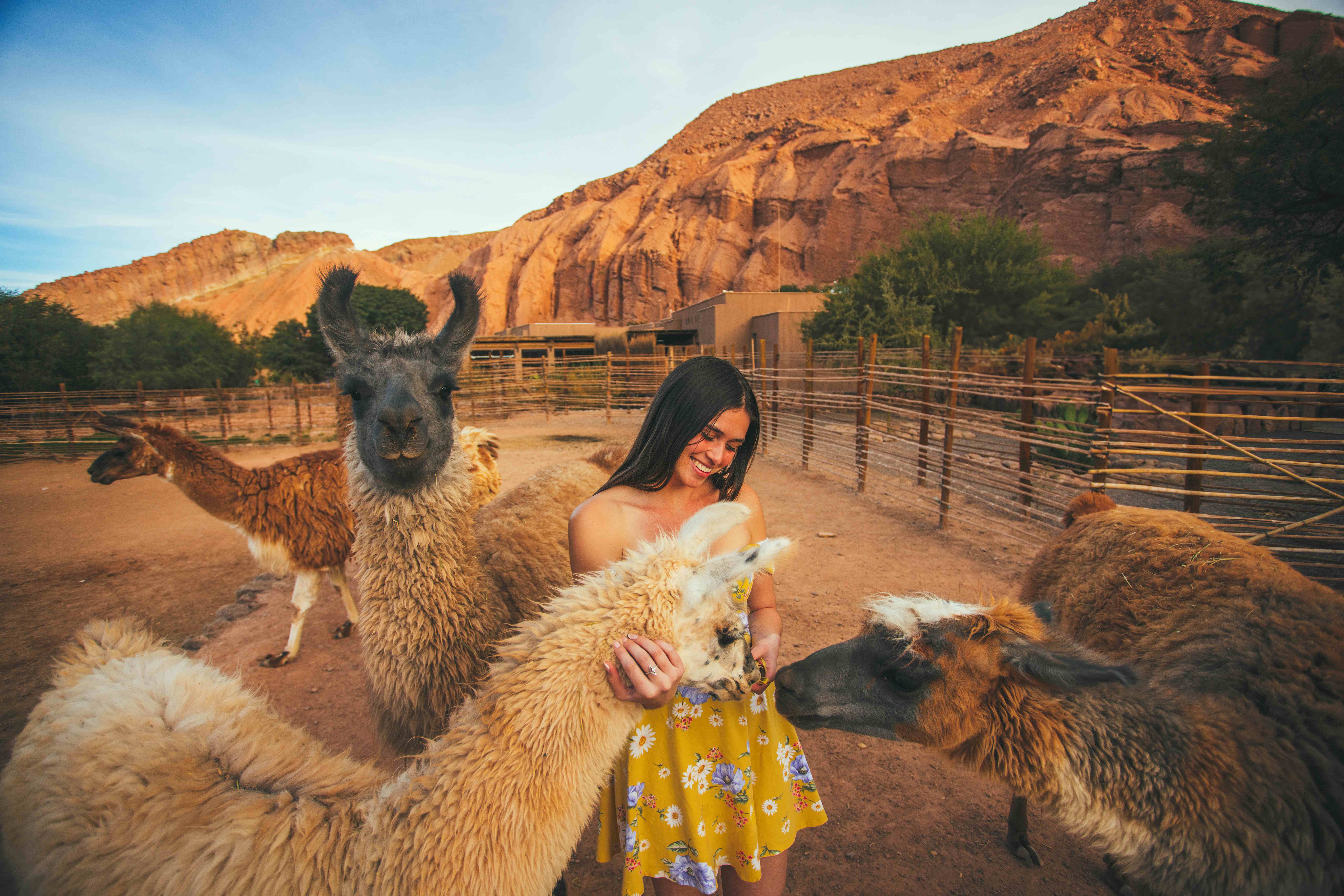 All Inclusive Atacama Experience