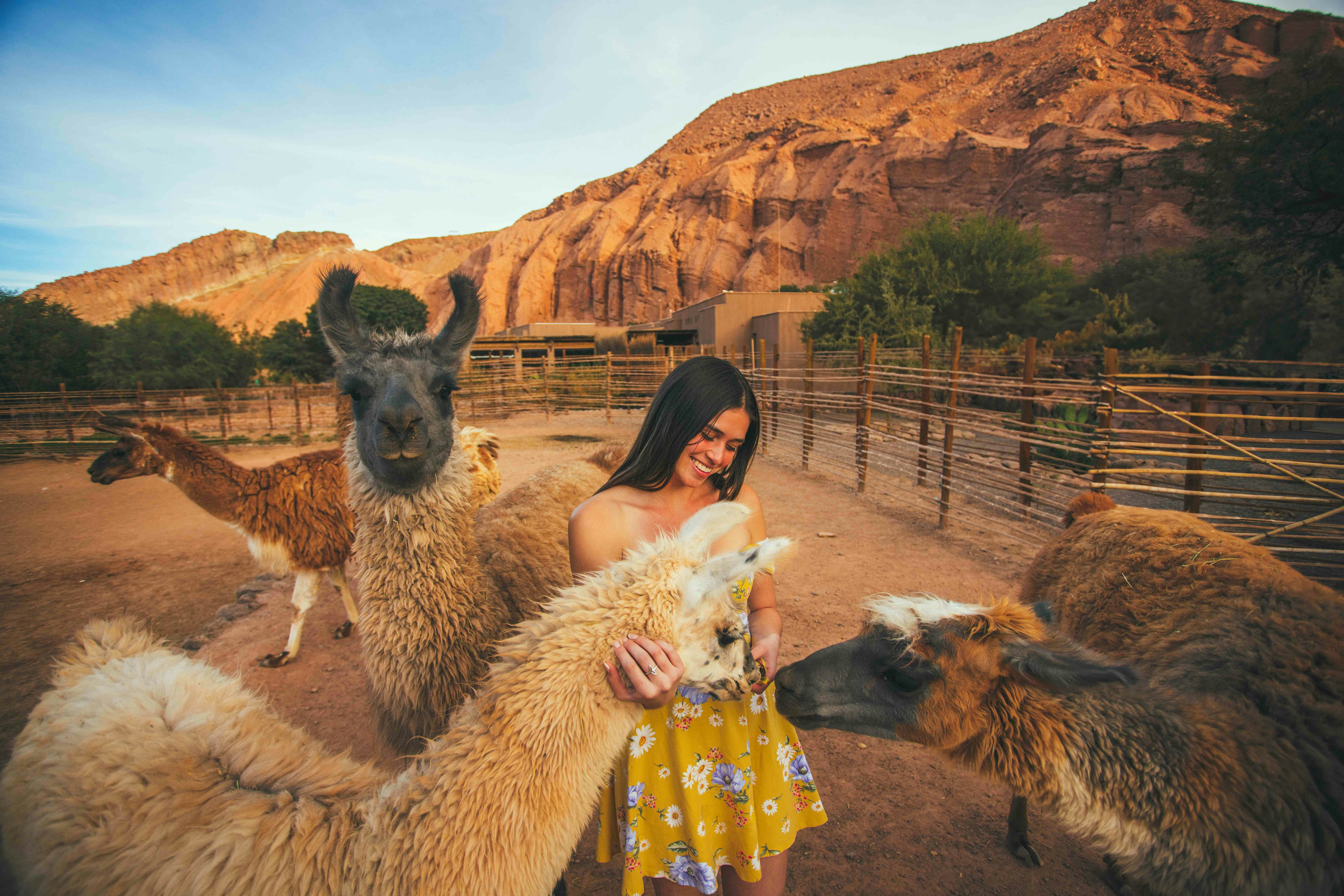 All Inclusive Atacama Experience - imagen #3