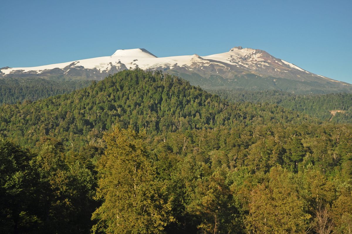 Full Board Package in Huilo Huilo