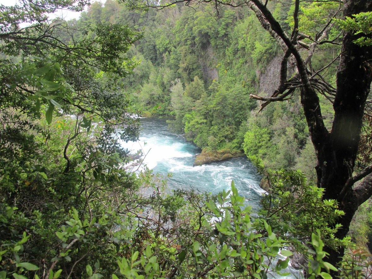 Full Board Package in Huilo Huilo