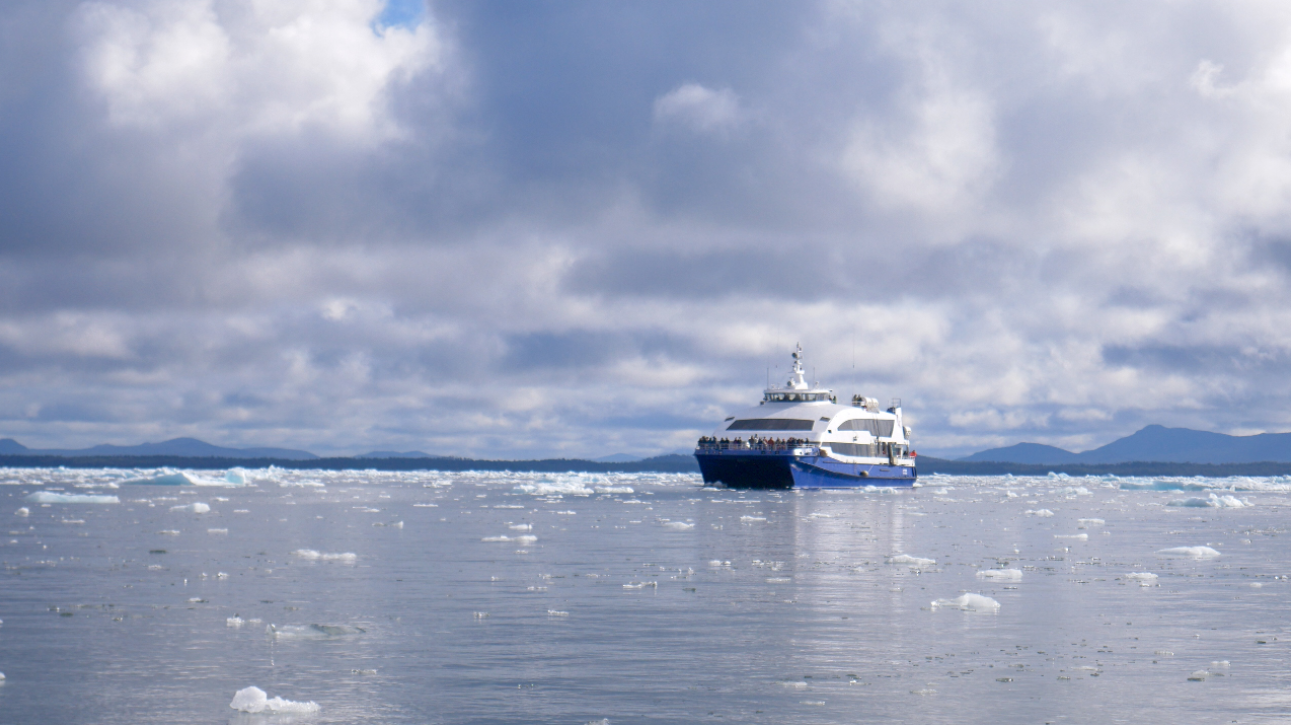 Tour Parque Nacional Laguna San Rafael Por El Día