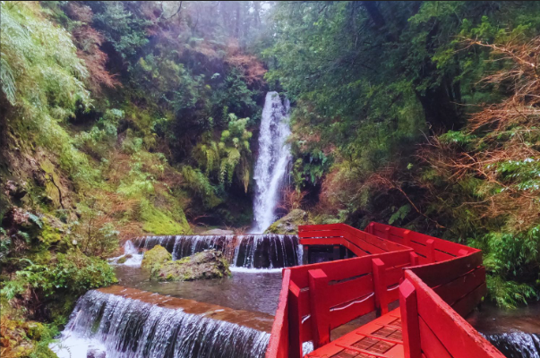 Pucon, Termas Geométricas and Park Huerquehue Tour