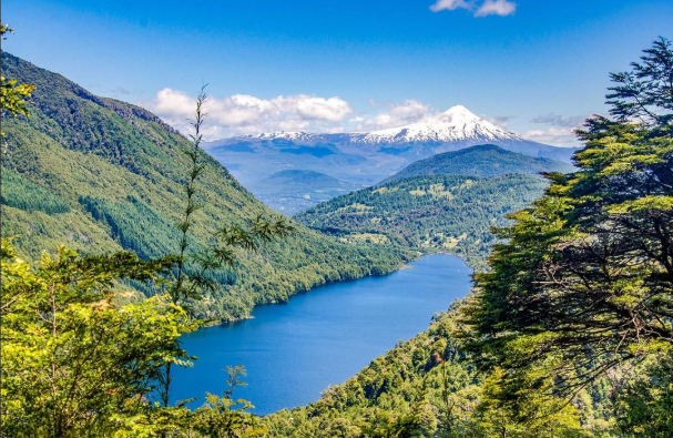 Pucon, Termas Geométricas and Park Huerquehue Tour