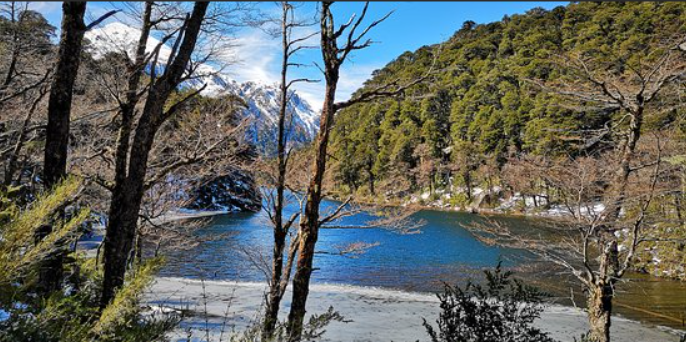 Pucon, Termas Geométricas and Park Huerquehue Tour