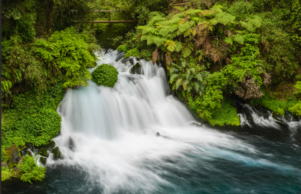 Paquete de Viaje Pucón, Huerquehue y Termas del Huife