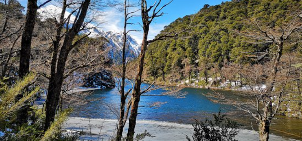 Trip to Pucón, Huerquehue and Termas del Huife