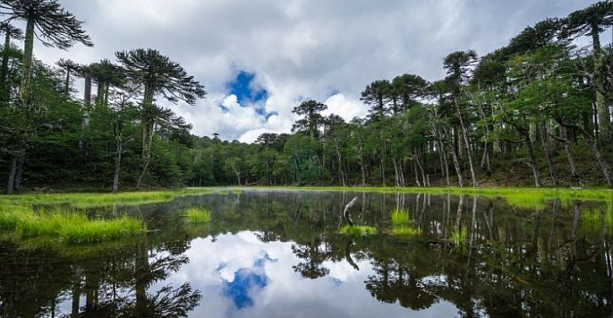 Paquete de Viaje Pucón, Huerquehue y Termas del Huife
