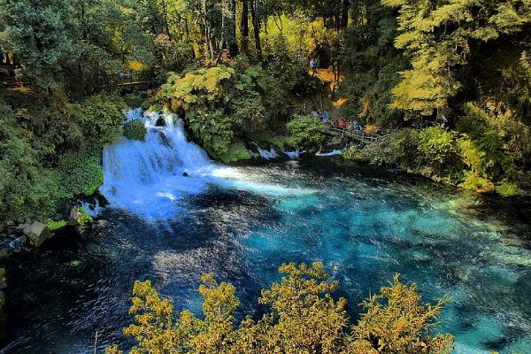 Trip to Pucón, Huerquehue and Termas del Huife - imagen #9