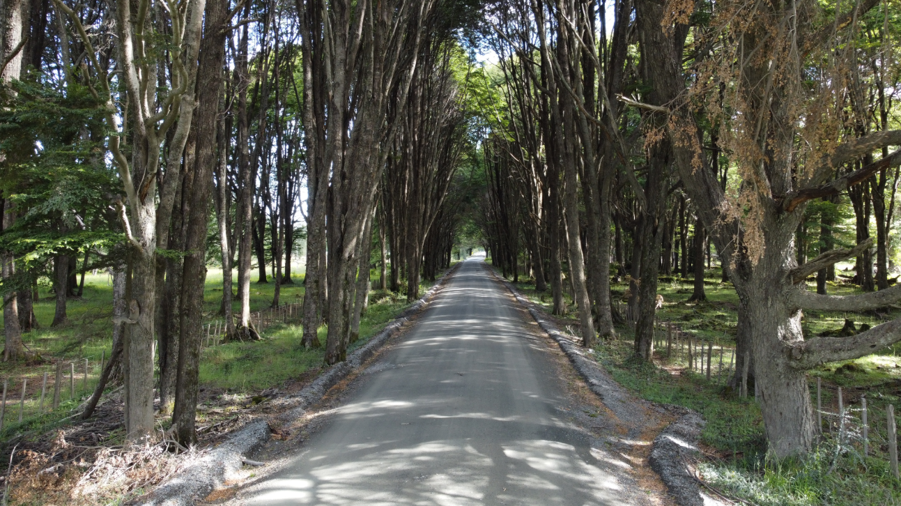 Explora la Carretera Austral 10 días / 9 noches