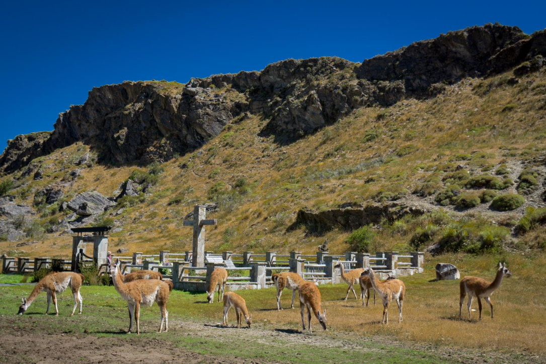 Explora la Carretera Austral 10 días / 9 noches