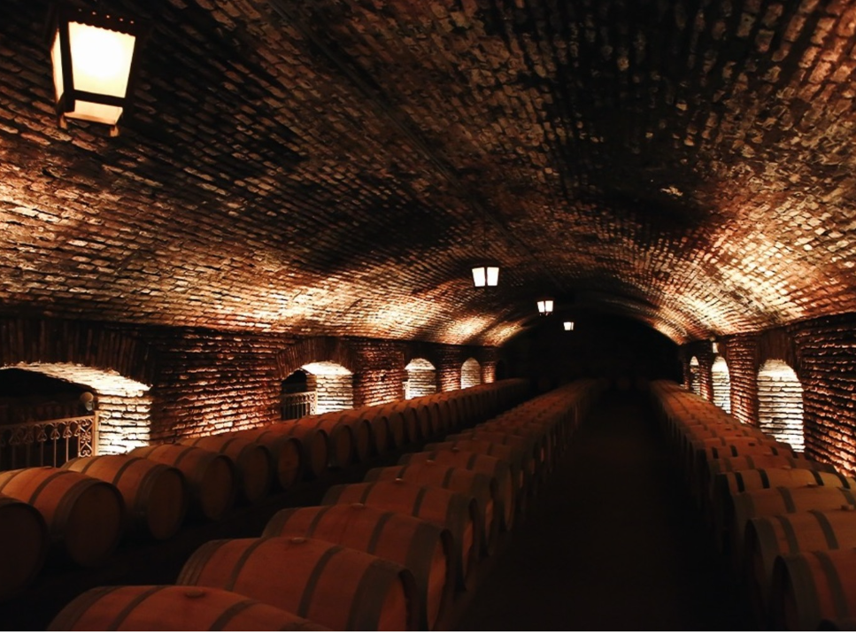 Experience Santiago in Winter