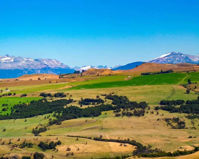 O Melhor da Carretera Austral – 6 Dias / 5 Noites - imagen #4