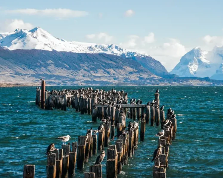 Puerto Natales & Torres del Paine – 5 dias / 4 noites - imagen #2