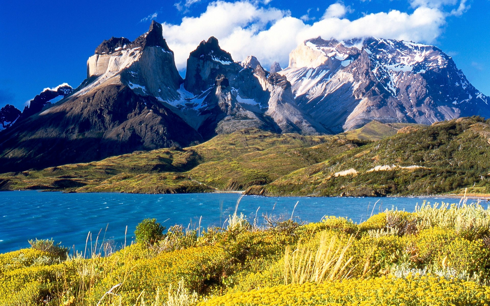 Full Torres del Paine with Grey Glacier Navigation - imagen #4