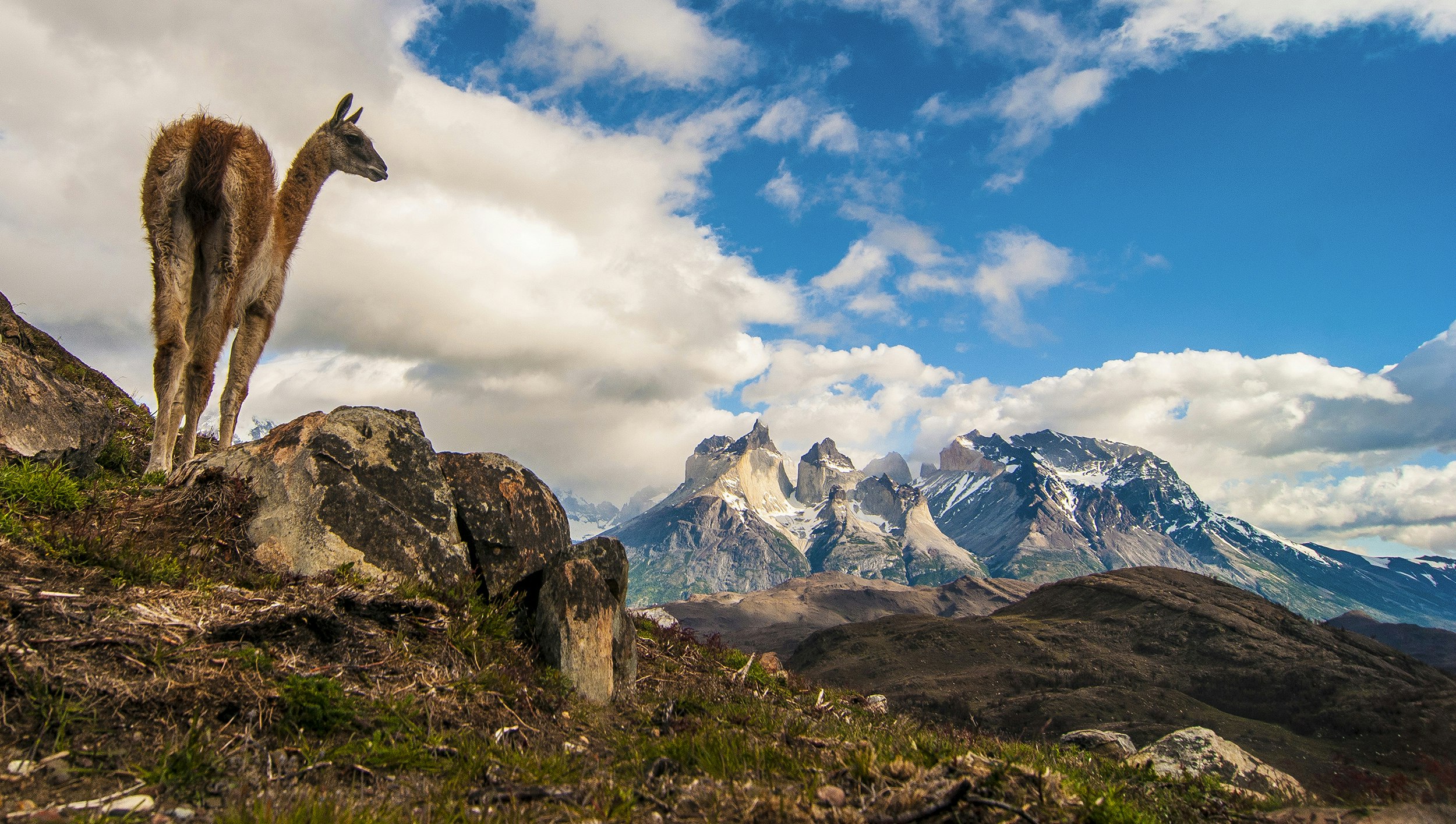 Full Torres del Paine with Grey Glacier Navigation - imagen #7