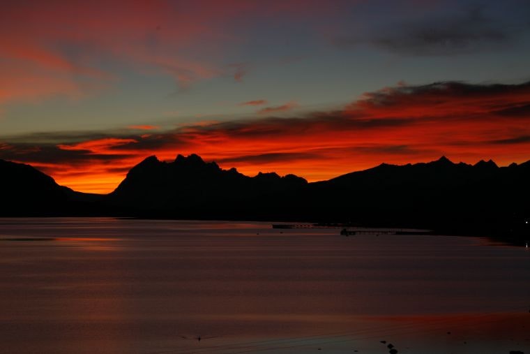 Torres del Paine, Perito Moreno and Ushuaia - imagen #11