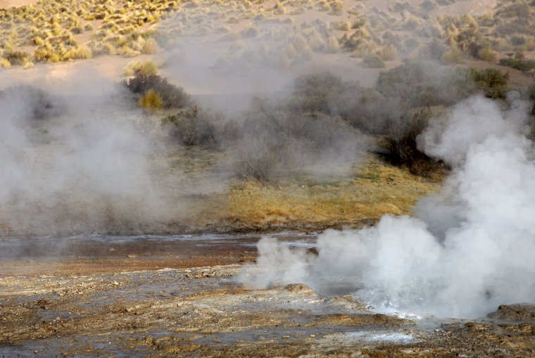 Tour Geysers del Tatio 