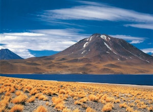 Altiplanic Lagoons and Atacama Salt