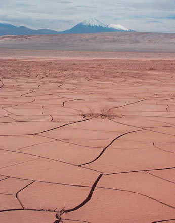 Altiplanic Lagoons and Atacama Salt