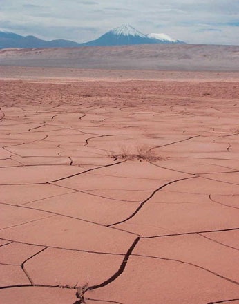 Altiplanic Lagoons and Atacama Salt - imagen #6