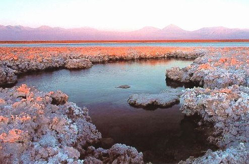 Altiplanic Lagoons and Atacama Salt