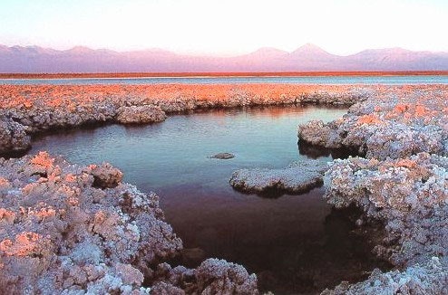 Altiplanic Lagoons and Atacama Salt - imagen #7
