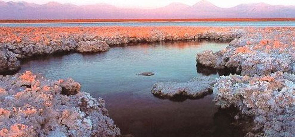 Altiplanic Lagoons and Salt