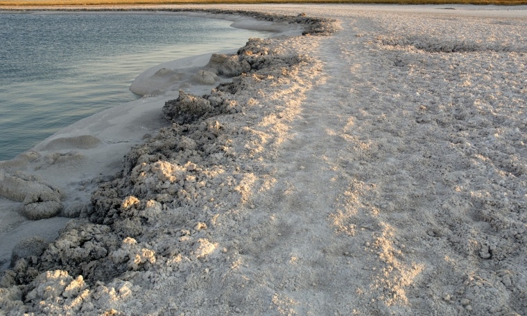 Tour de los Salares - imagen #6