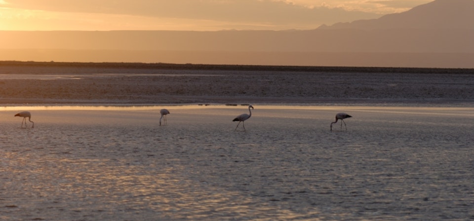 Atacama Salt Flat and Toconao