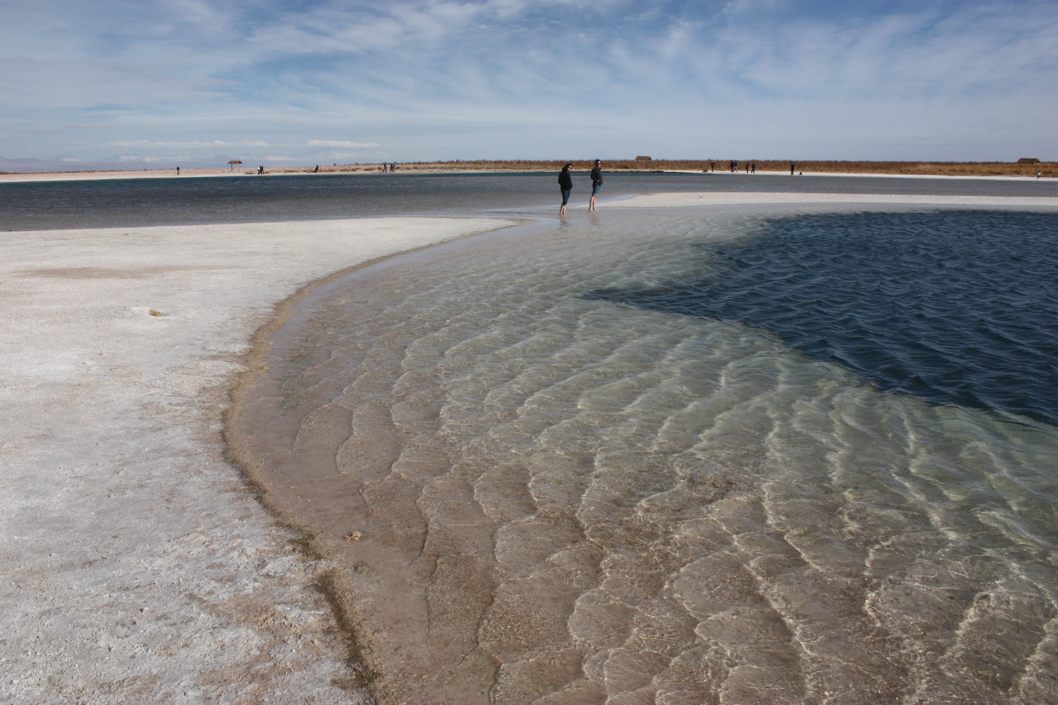 Tour Laguna Céjar y Laguna Tebenquiche