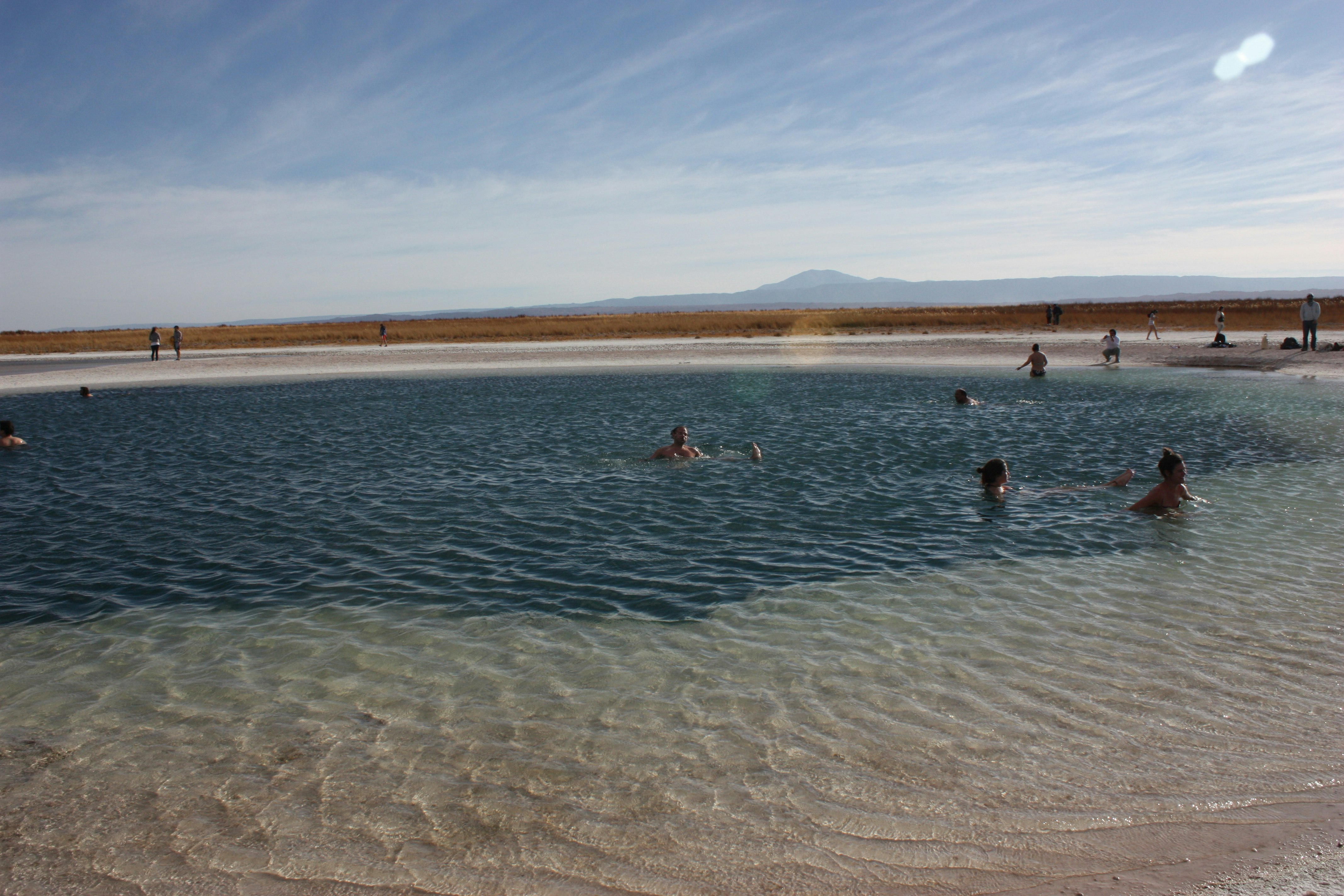 Book for Cejar and Tebenquiche Lagoons