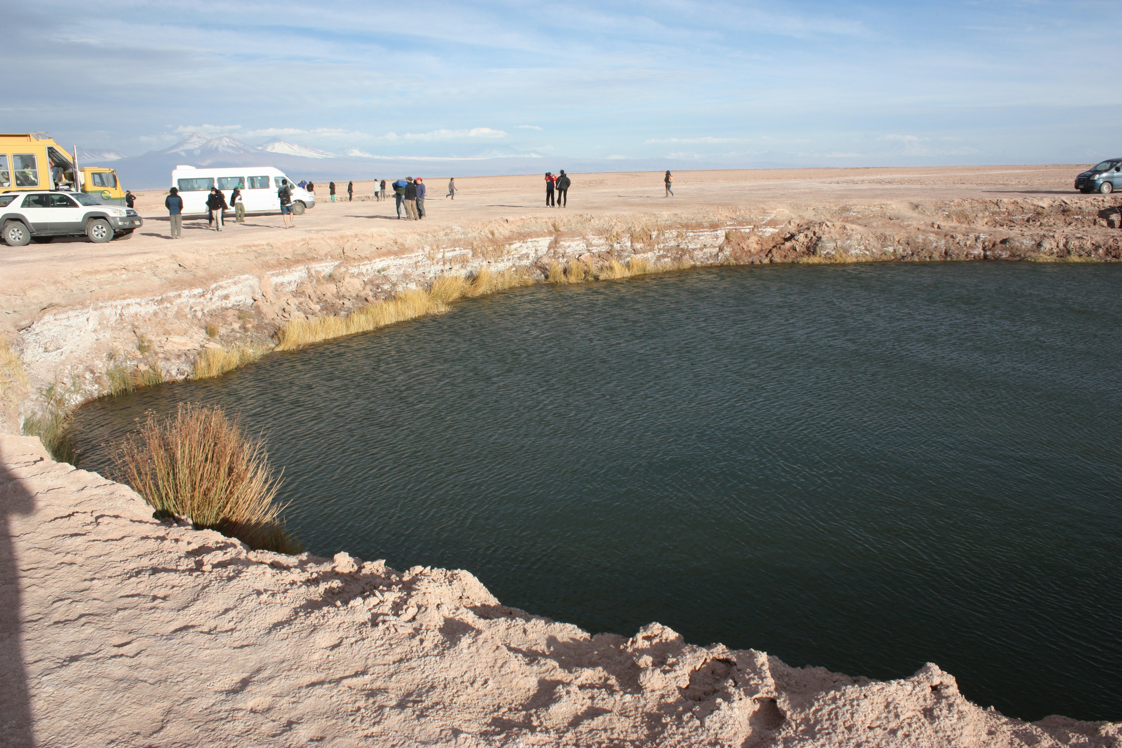 Tour Laguna Céjar y Laguna Tebenquiche - imagen #3