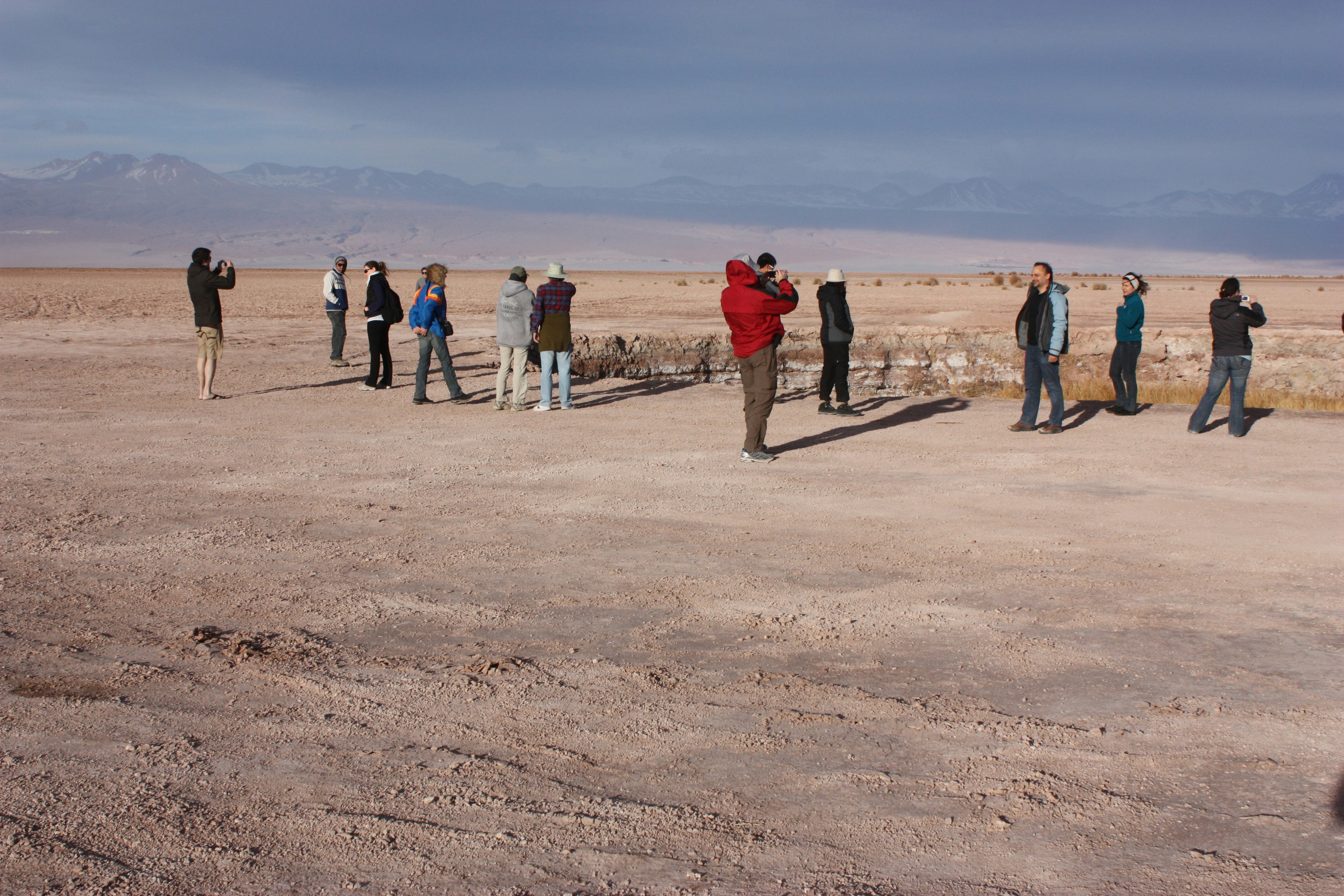 Tour Laguna Céjar y Laguna Tebenquiche - imagen #5