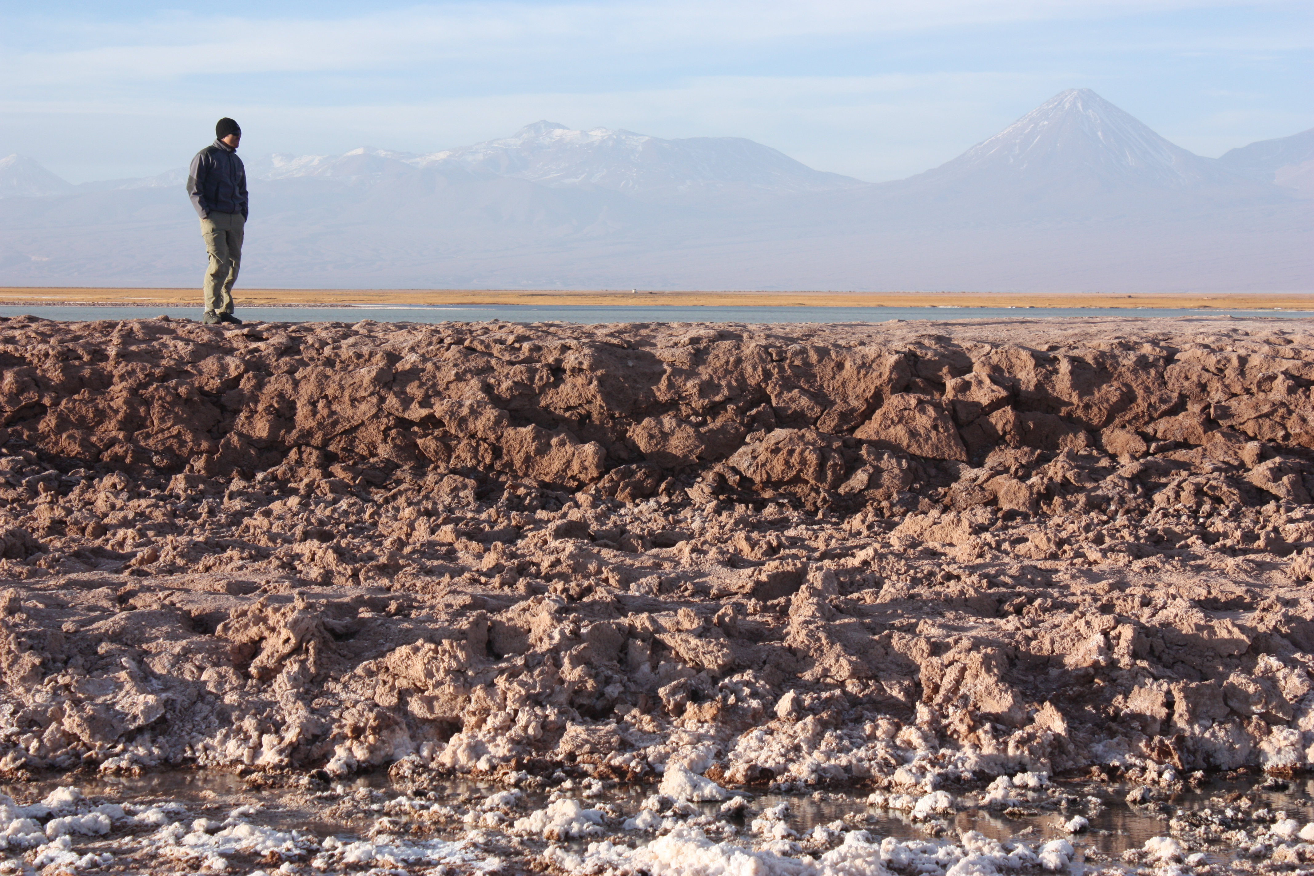 Tour Laguna Céjar y Laguna Tebenquiche