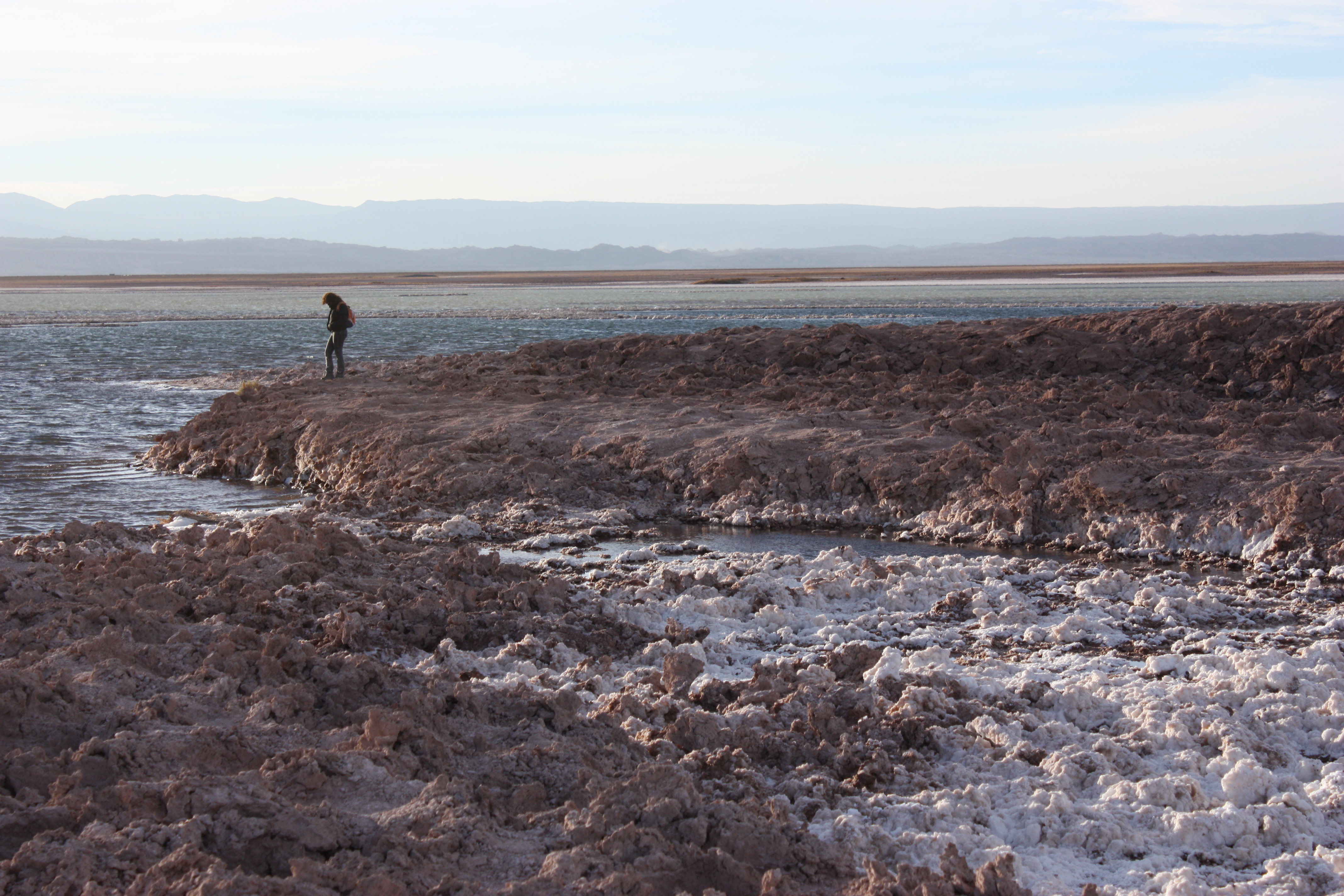 Tour Laguna Céjar y Laguna Tebenquiche
