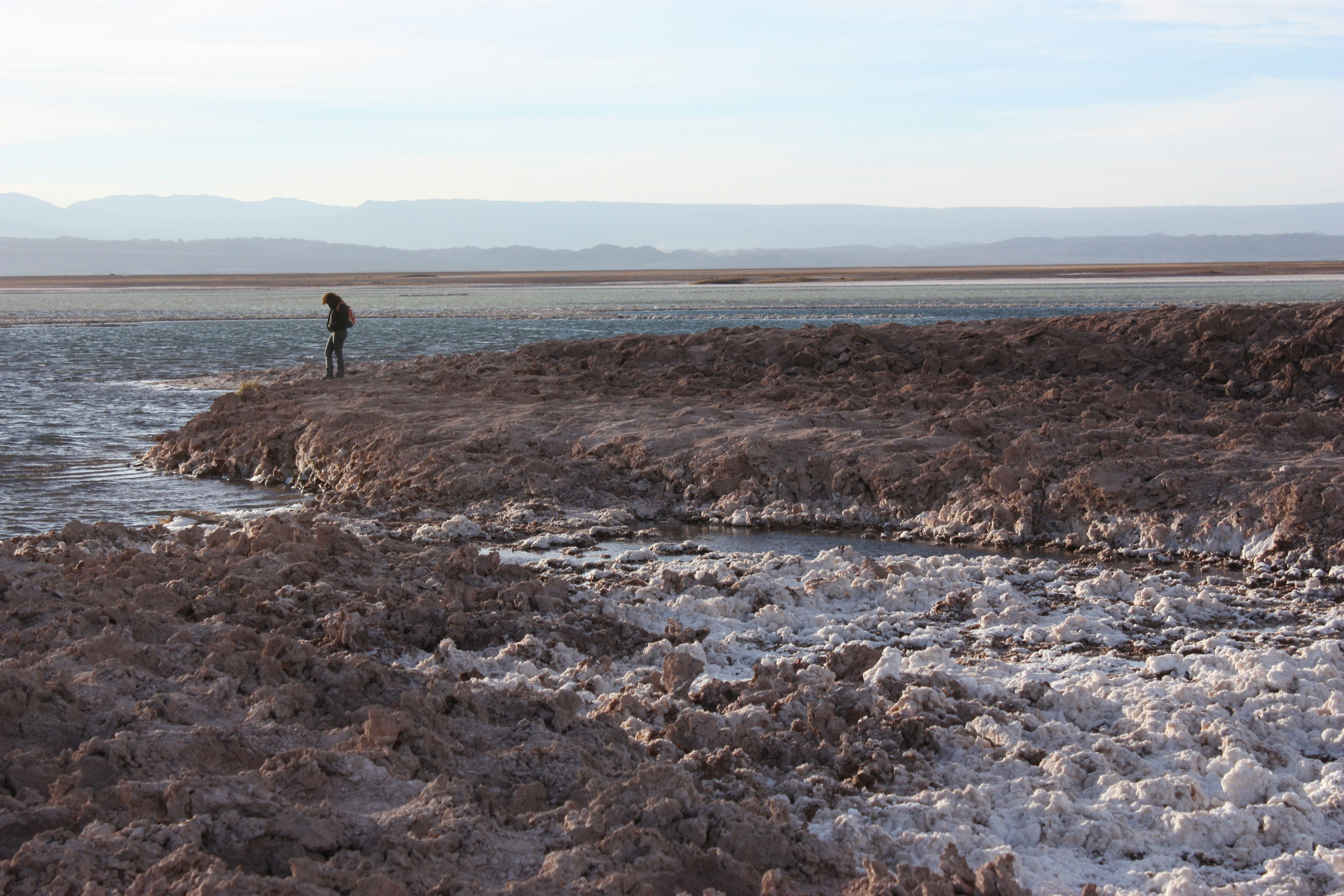 Tour Laguna Céjar y Laguna Tebenquiche - imagen #7