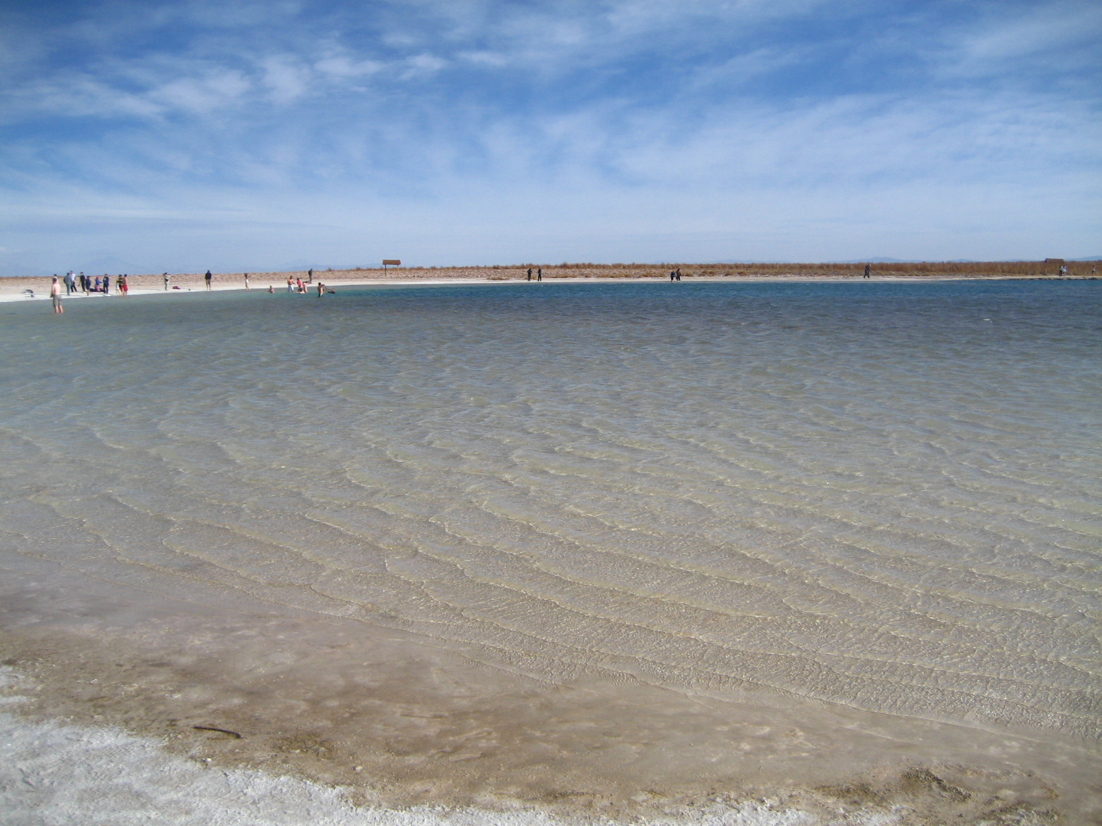Tour Laguna Céjar y Laguna Tebenquiche